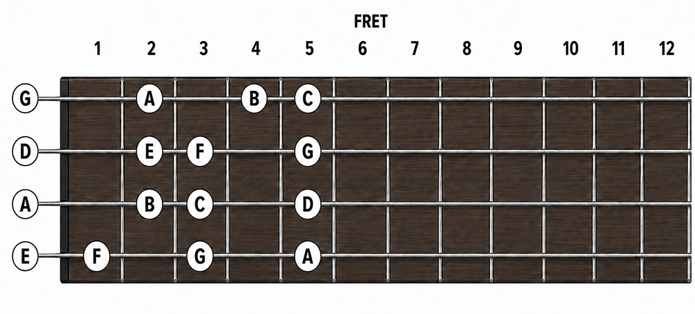 Natural notes in the lower position (first five frets) on the bass fretboard
